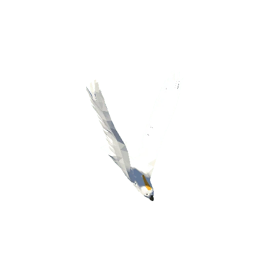 Low Poly Cockatoo